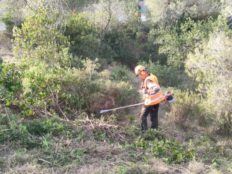 ¿Cuánto cuesta desbrozar una finca en Girona?