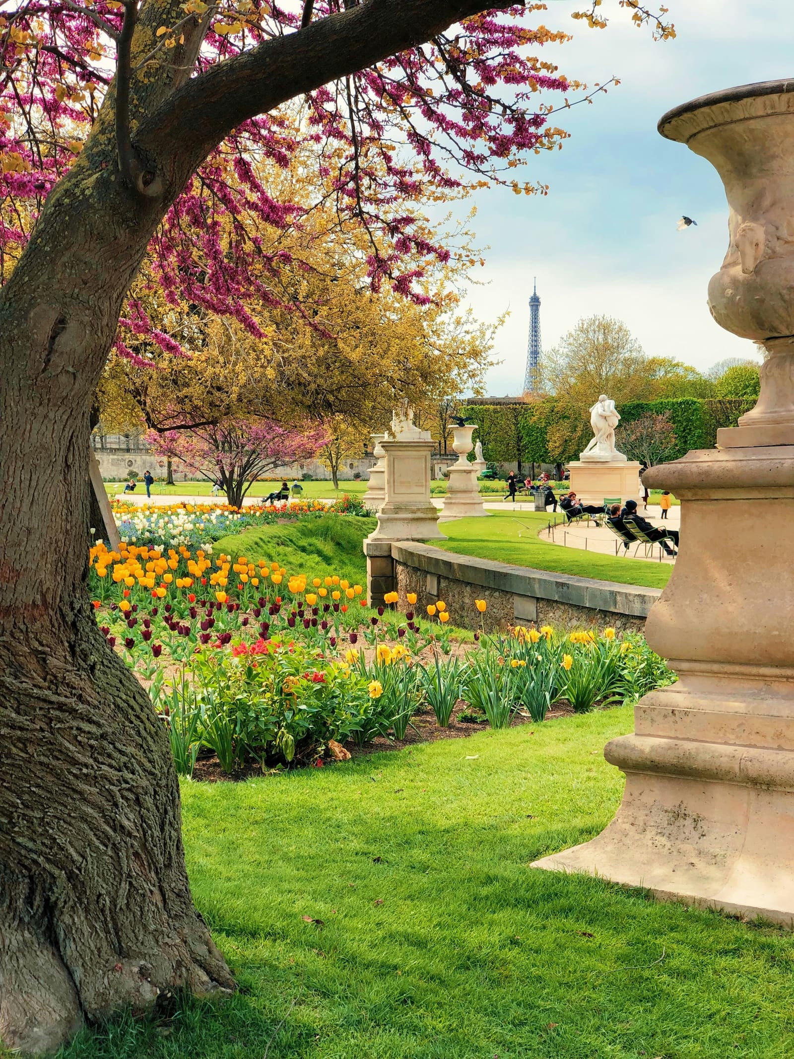 Mantenimiento de jardines