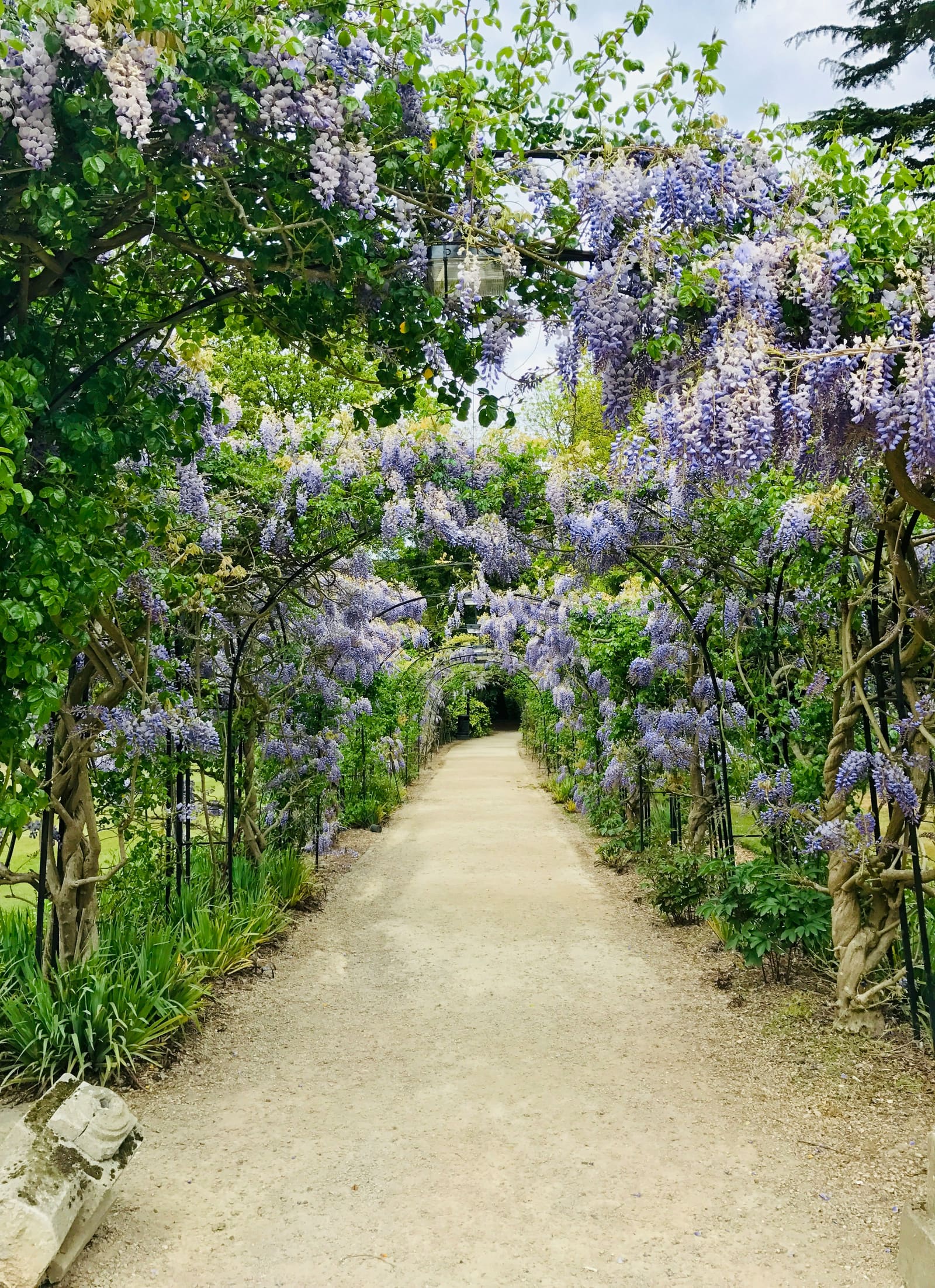 Jardinería y paisajismo