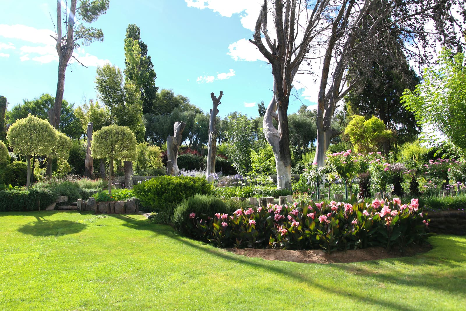 Jardín cuidado