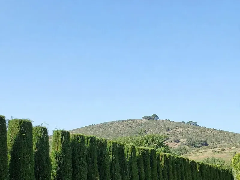 Jardín de una segunda residencia en la Costa Brava