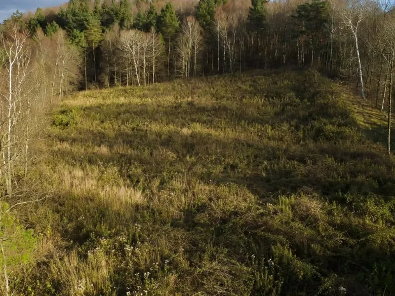 Parcela de 900 m2 en pendiente antes del desbroce