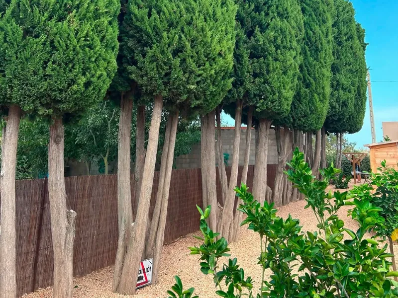 Parcela en Valveralla, Girona, después del trabajo